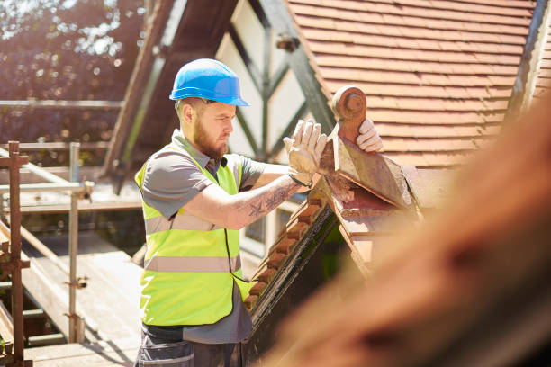 Best Roof Gutter Cleaning  in Cherokee, NC